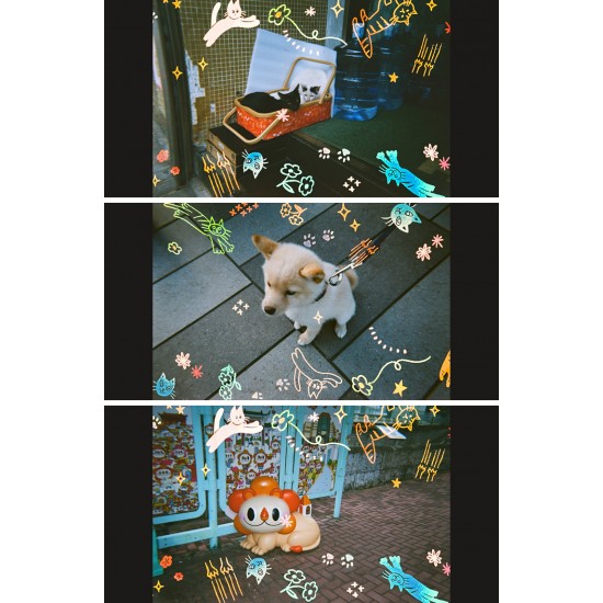 Reto Retocolor Cat'Cha Disposable Camera With Pre-Exposed Patterns [27 Exp]