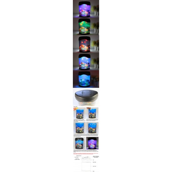 Jelly Fish Display Tank