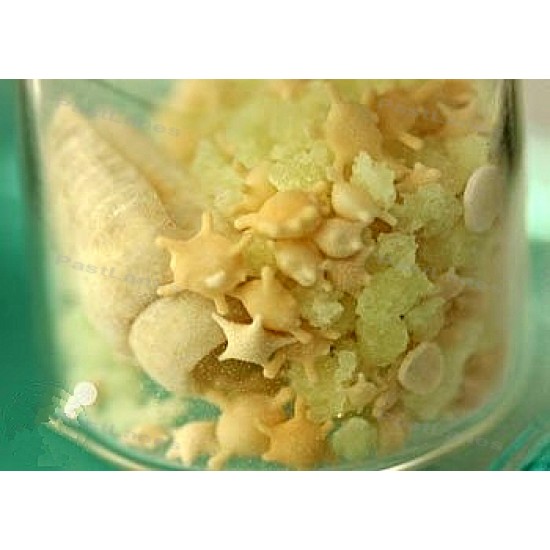 Glowing Star Sand Seashell Wishing Bottle