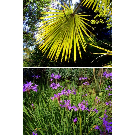 Kodak PixPro FZ55 Compact Digital Camera + FREE Pouch