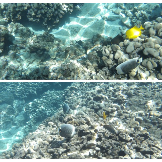 Kodak PixPro WPZ2 Waterproof Digital Camera