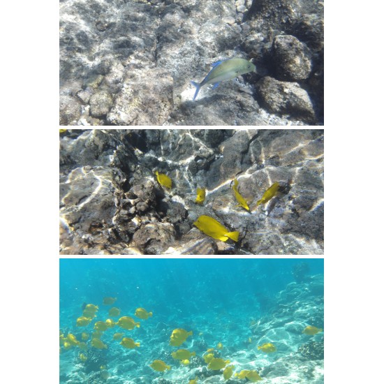 Kodak PixPro WPZ2 Waterproof Digital Camera