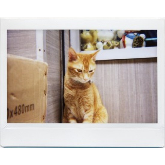 Lomo'Instant Wide Central Park + Lenses
