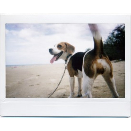 Lomo'Instant Wide Central Park + Lenses