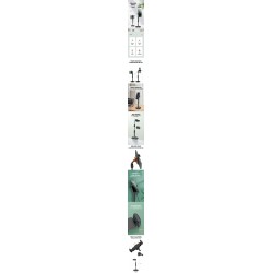 Table Top Adjustable Mobile Phone Holder Stand