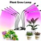 Plant Grow Lamp