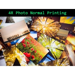 4R Photo Normal Printing