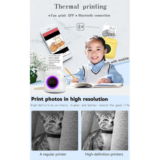 Mobile Instant Photo Thermal Printer C22