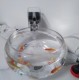 USB Mini Hang On Filter