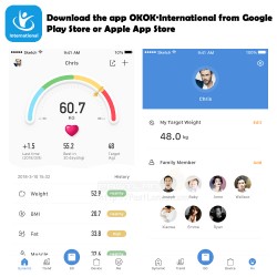 Mini Bluetooth Smart Body Weighing Scale